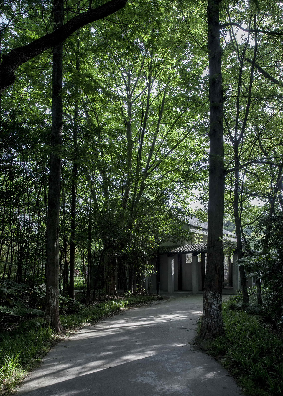 陈化成纪念馆移建改造,上海 / 阿科米星-6