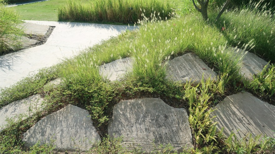 废弃地重生 · 深圳梅丰社区公园激活社区生活丨深圳自组空间-47