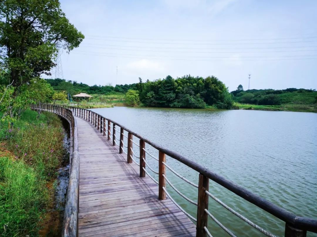 穿过喧嚣 走进时光·来高淳东坝看美丽乡村-41