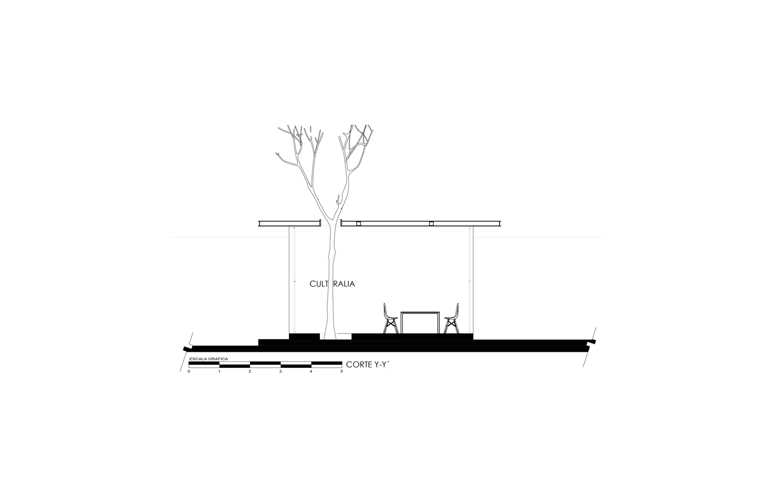 墨西哥文化学院-66