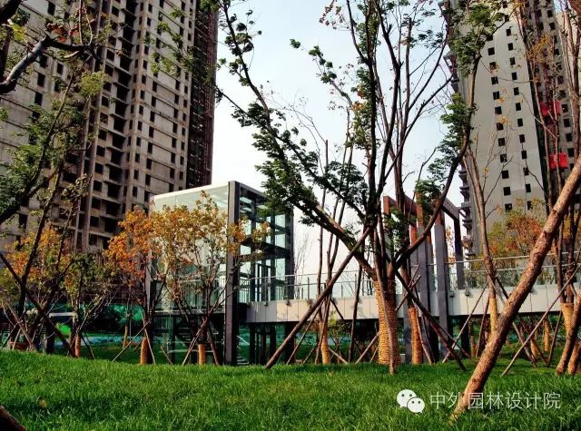 设计进行时 | 重塑景观“新世界”中外园林•沈阳新世界二期B区住宅景观设计-23