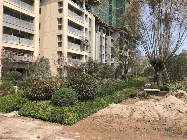 宝能华府 | 古韵今用,留住时光之美-97