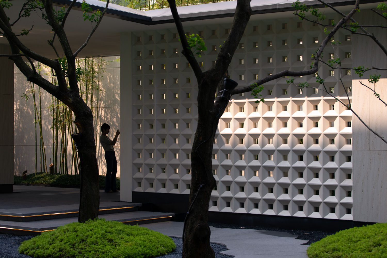 香港置地卓越集团·林山郡-53