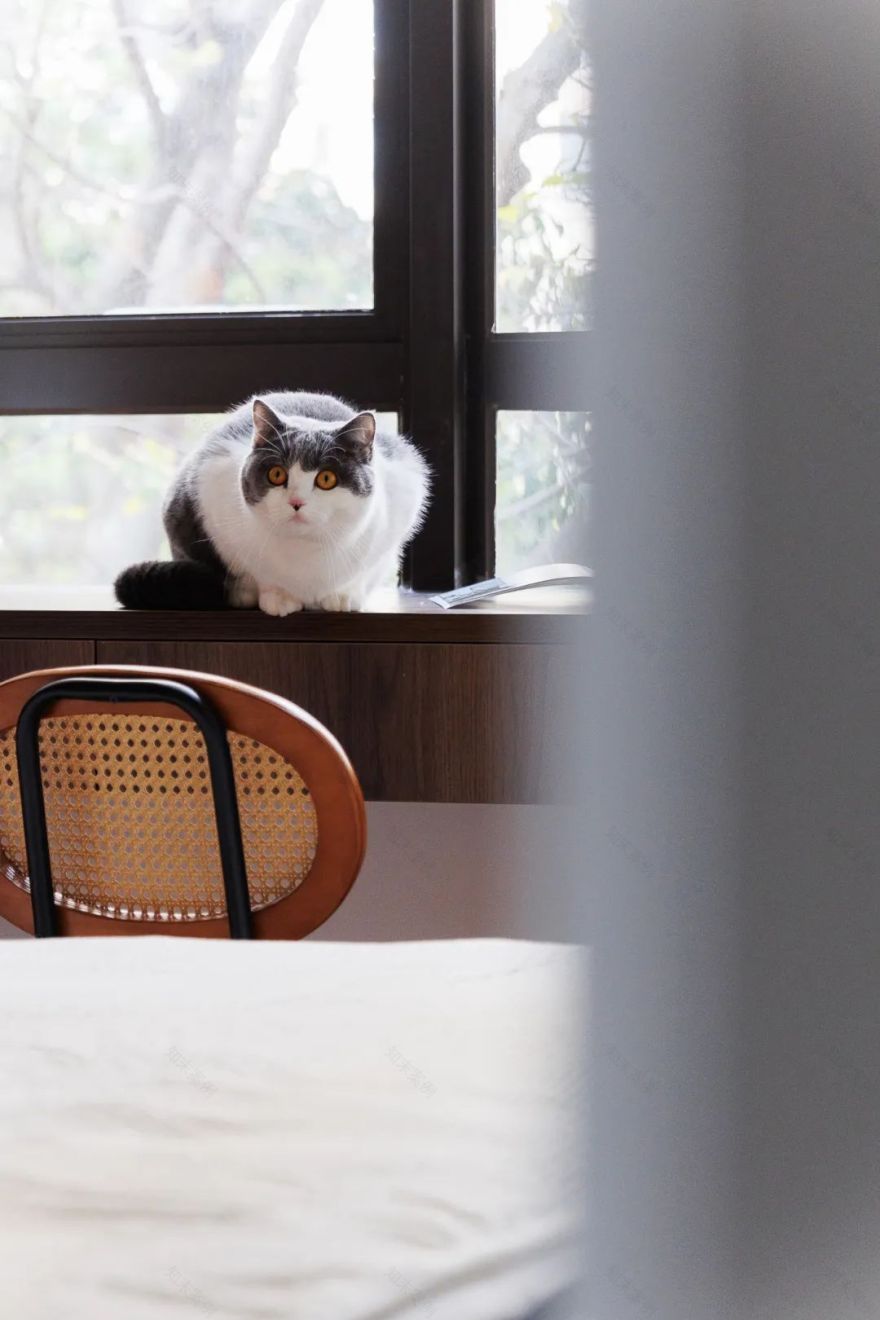 厦门 100m²轻法式浪漫美宅丨中国厦门丨再构设计-84