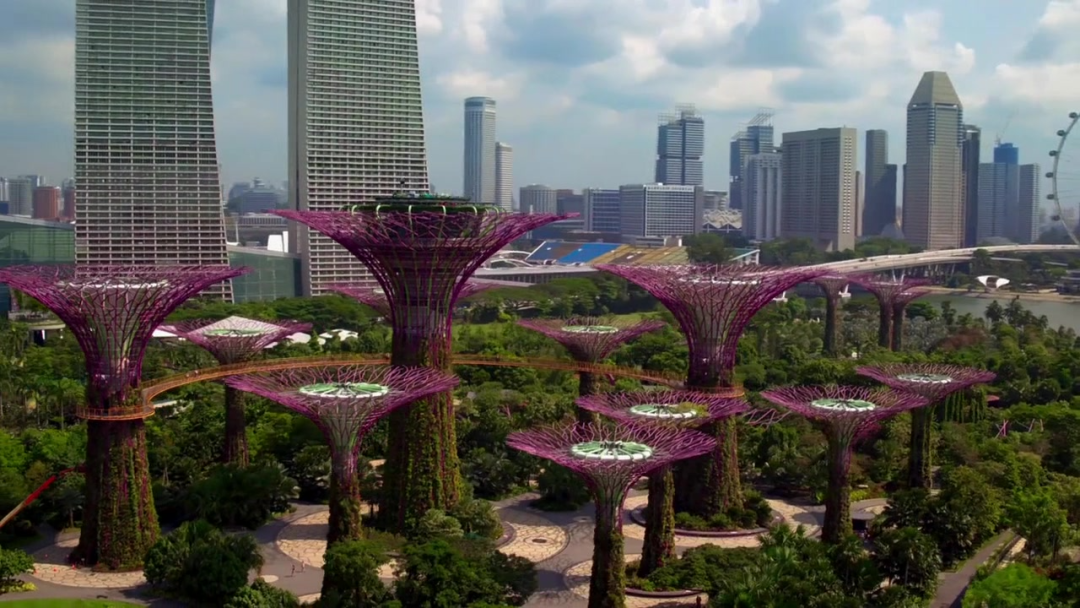 品鉴︱新加坡滨海湾花园超级树：自然与科技的共生奇观-12