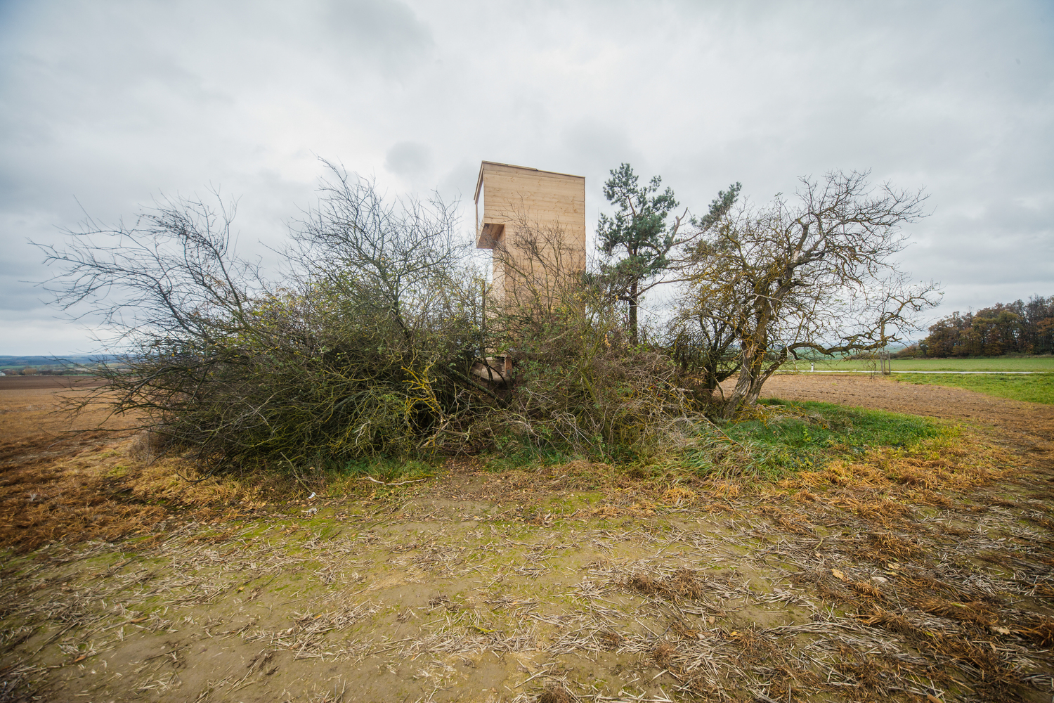 微型木构避难所-43