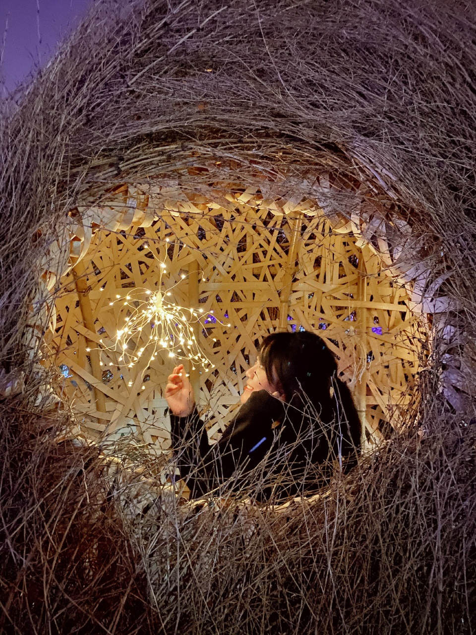 秘境花园 | 树洞中的心灵秘境-63