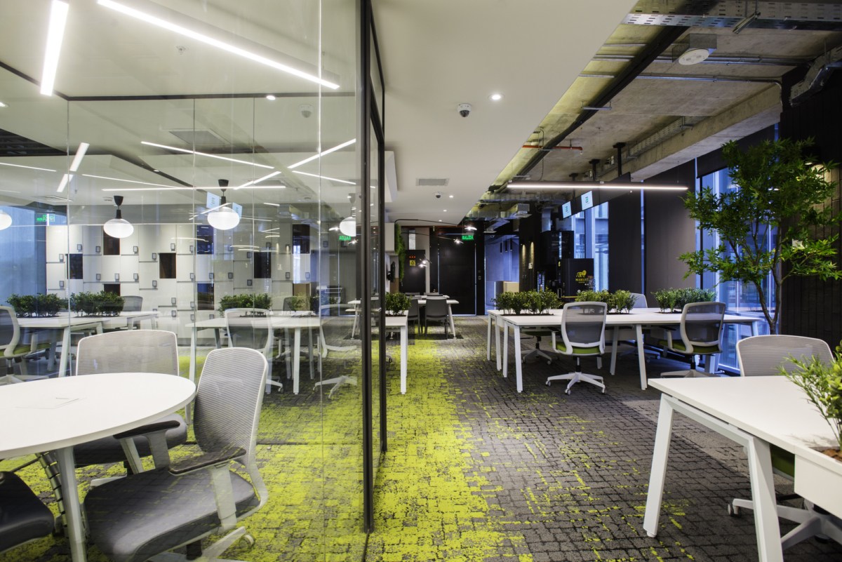 帕蒂奥集团办公室 - 圣地亚哥-7