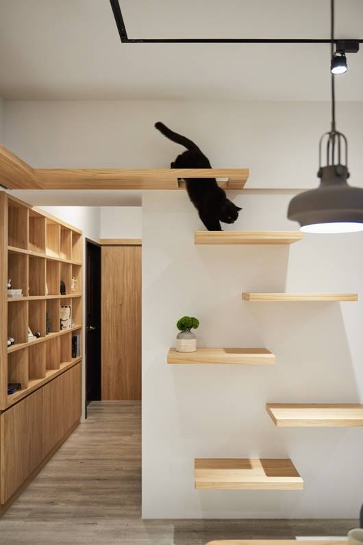 台北 90㎡现代家居,人猫共融的生活空间-36