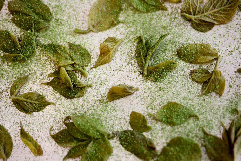 实验性美食活动 | Amsterdam 的 Lloyd 酒店文化大使馆-8