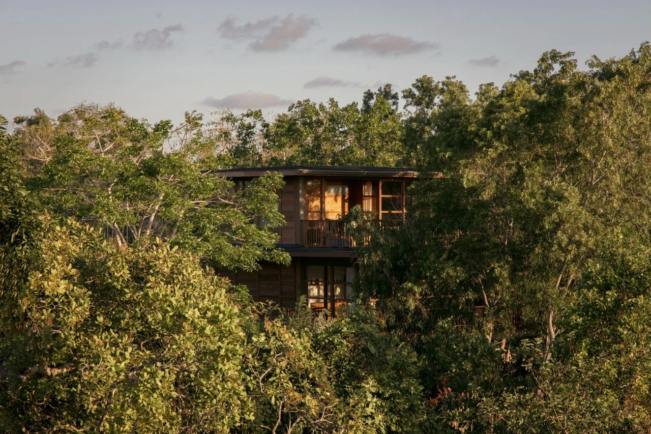 巴厘岛乌鲁瓦图树屋别墅丨印度丨Stilt Studios-10