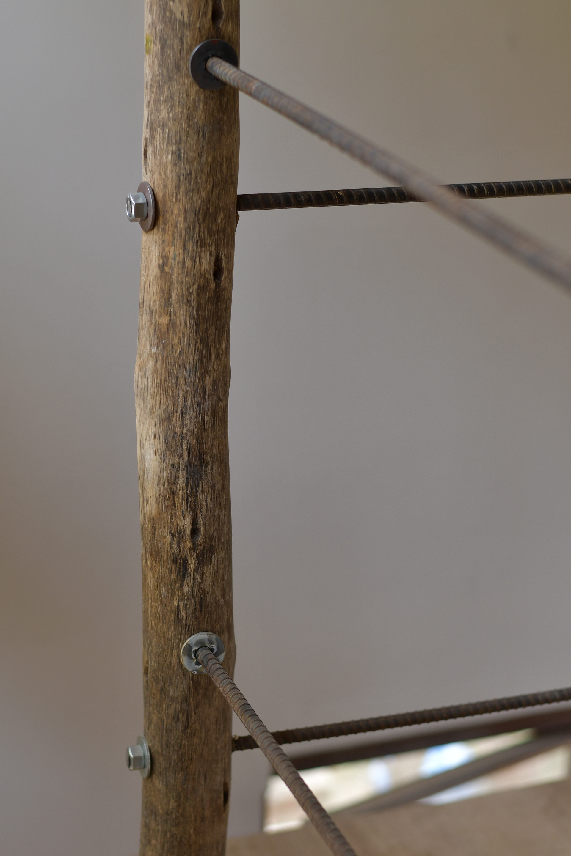 乔兰雀巢屋丨厄瓜多尔丨Daniel Moreno Flores 等-31