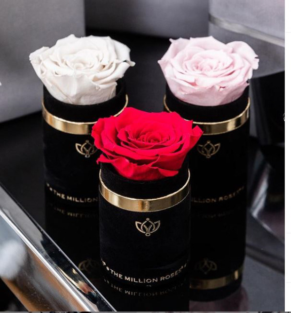 百万玫瑰丨美国洛杉矶丨ANTIQUE Studios-20