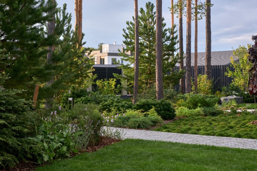 茉莉藓丨俄罗斯丨«ХВОЯ ландшафтное строительство»-7