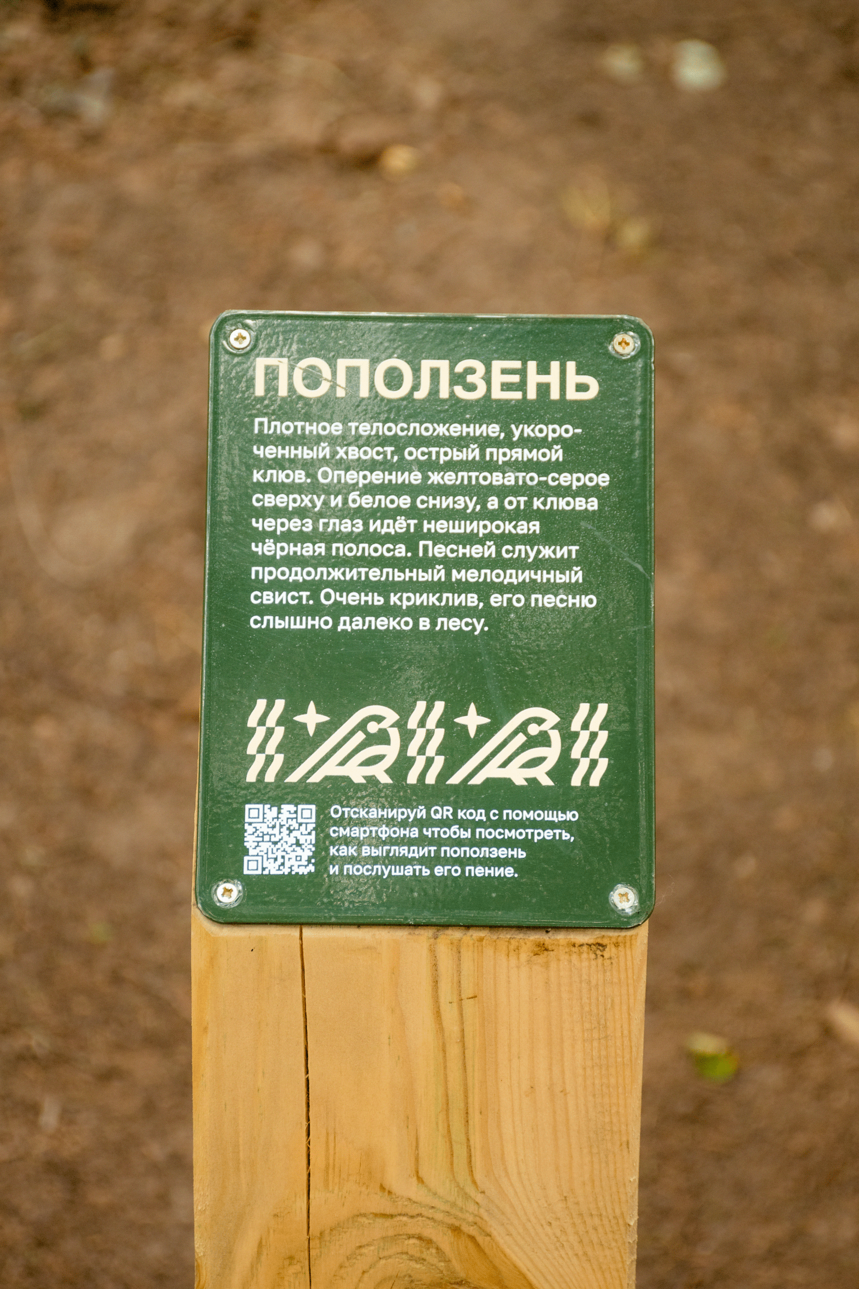 蒂希诺公园丨俄罗斯伊热夫斯克丨ARCH_IZNANKA-22