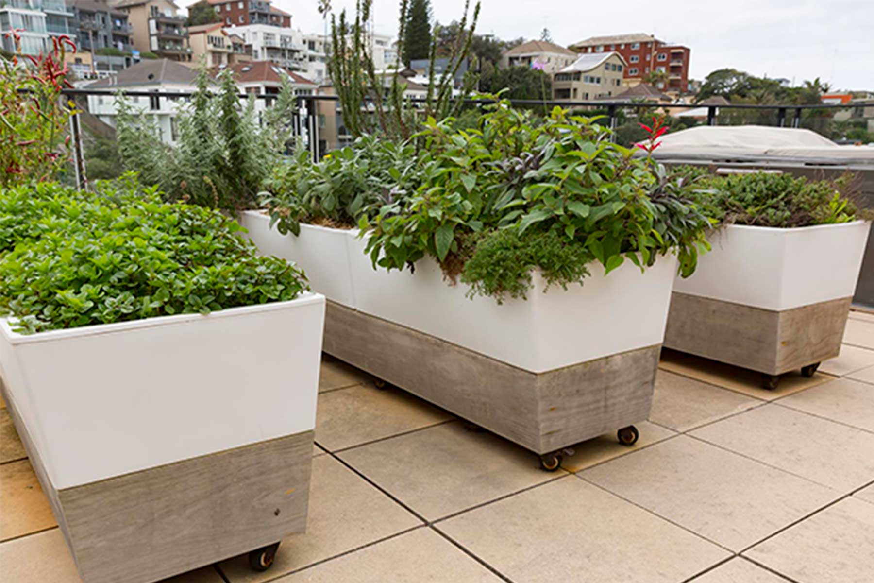Good-Looking Planters — Adam Robinson Design-4