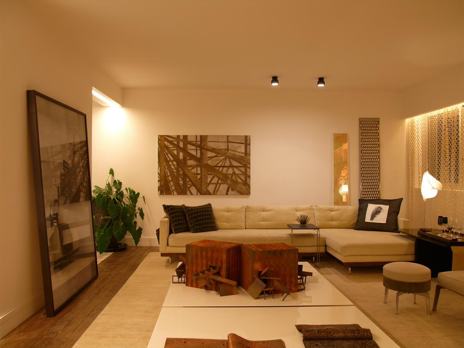 巴西圣保罗的"艺术画廊"公寓设计-3