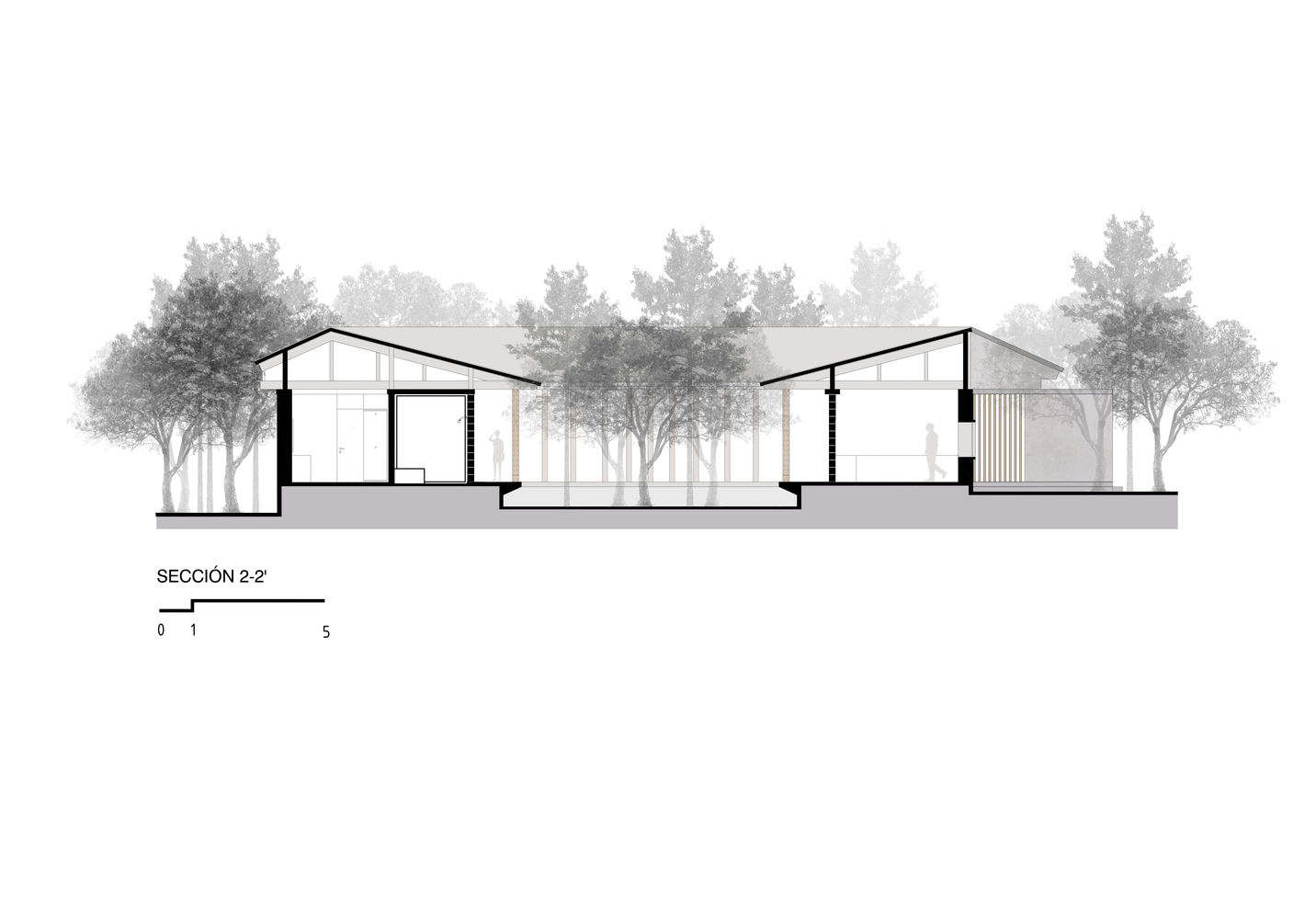 Amacueca House  CoA arquitectura + Departamento de Arquitectura-51