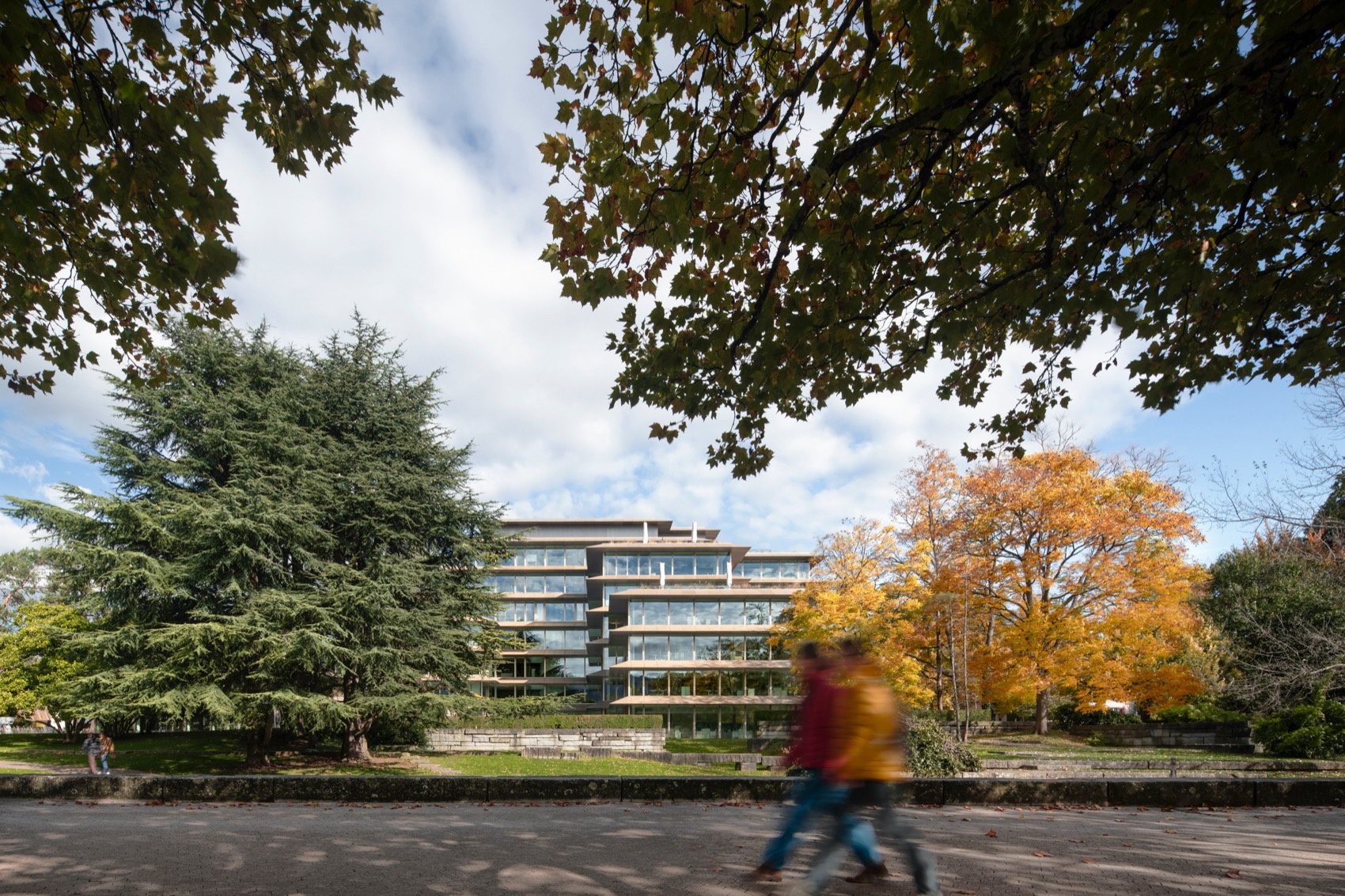 Bellerivestrasse 36大楼丨瑞士苏黎世丨C.F. Møller Architects-24