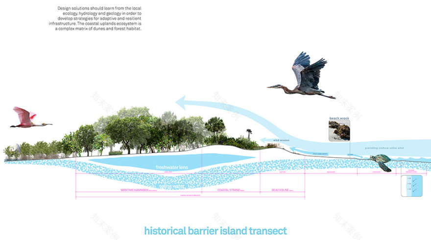 DC Ale·ander公园丨Brooks + Scarpa-78