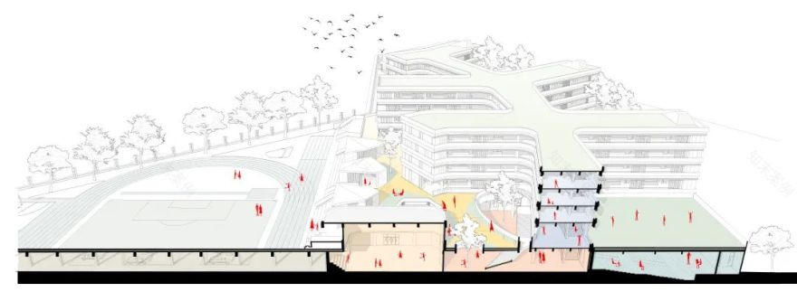 合肥市五十中新校分部丨中国合肥丨深总院合肥分院-27