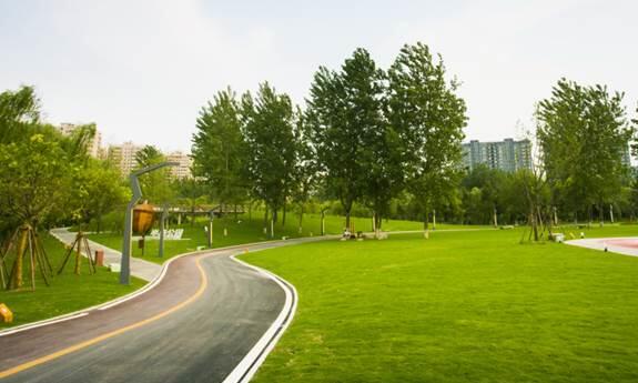 合肥万科大都会之誉  周湾公园设计丨中国合肥-49