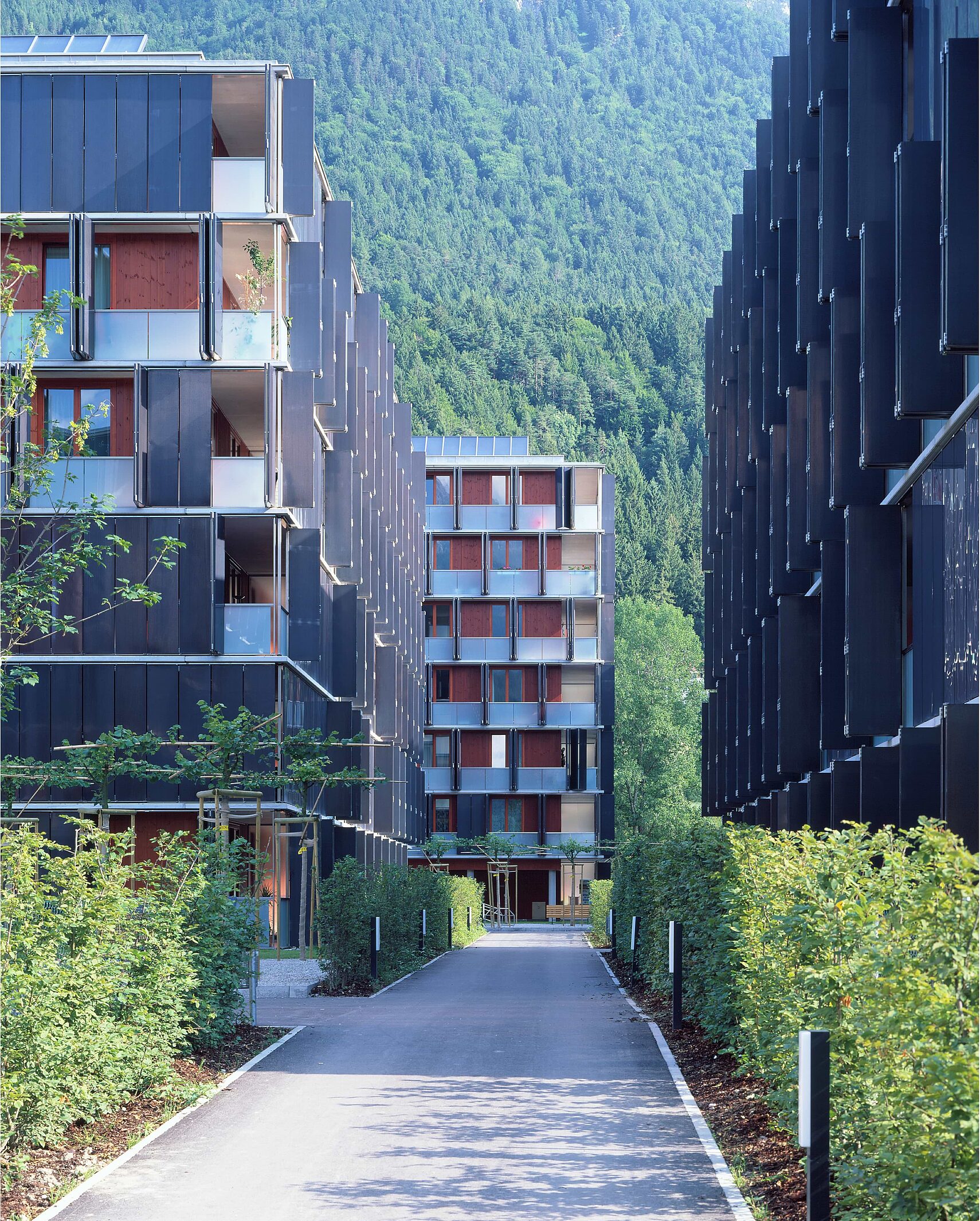 洛巴赫一号

注：这里Lohbach推测是一个地名，I在这种语境常表示一号第一等顺序含义，由于缺乏更多背景信息，仅做此翻译 丨奥地利丨Baumschlager Eberle Architekten-3