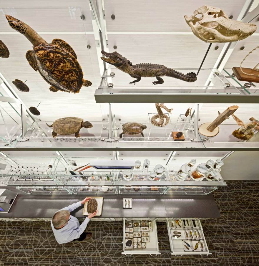 自然历史博物馆教育中心 | 互动式体验的设计亮点-11