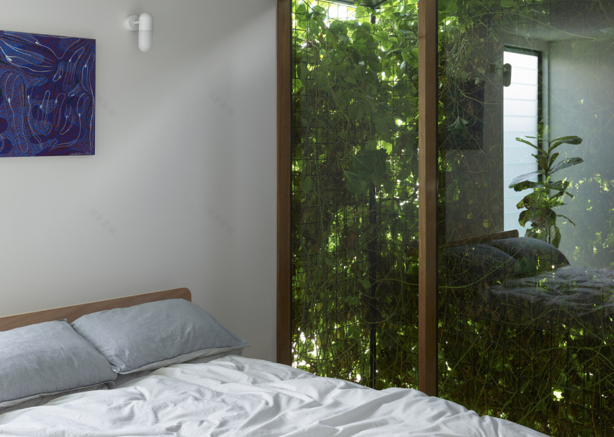 澳大利亚双子住宅丨约翰·艾尔威-23