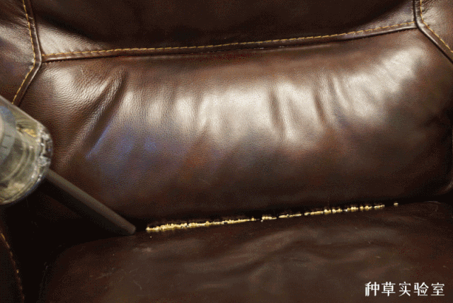 戴森 V11 智能吸尘器，家居垃圾分类好帮手-132