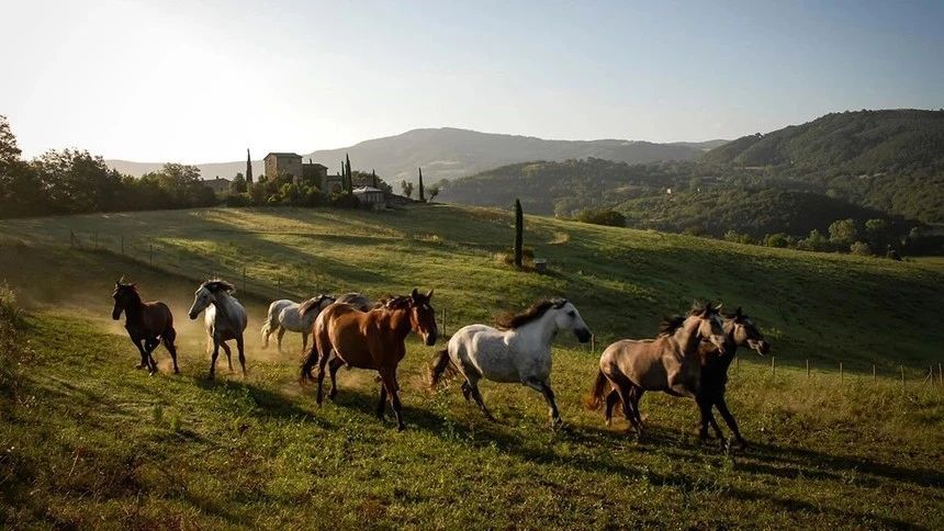 意大利千年古堡改造成奢华酒店,领略中世纪魅力-101