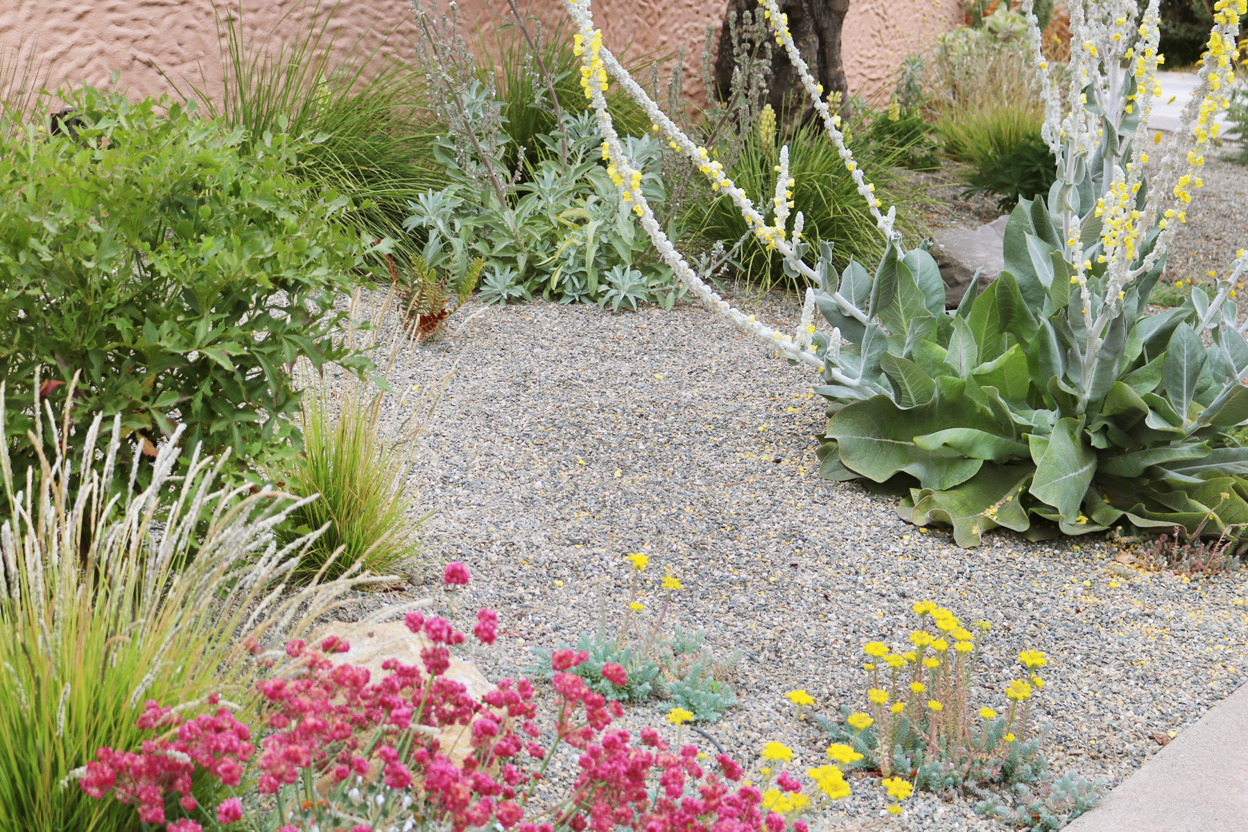 身边风景 | Soft Studio-101