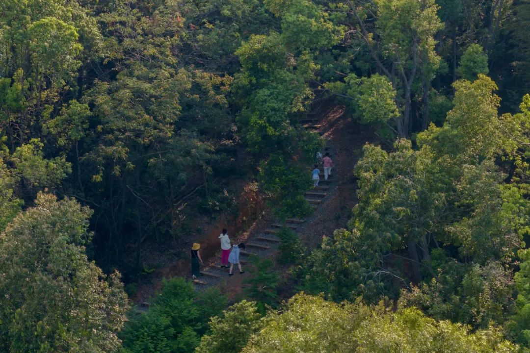 傍山麓野 | 长沙麓隐青竹湖-87