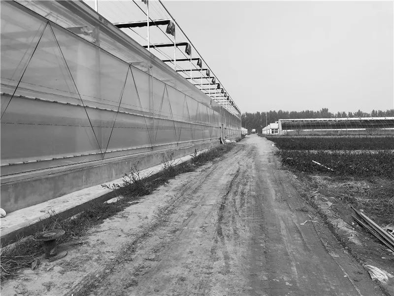 高技术与高颜值的京东"未来“植物工厂-11