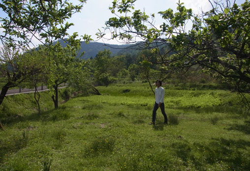 函館山プロジェクト:製材所と敷地丨究建築研究室Q  Labo.与大学研究室-19