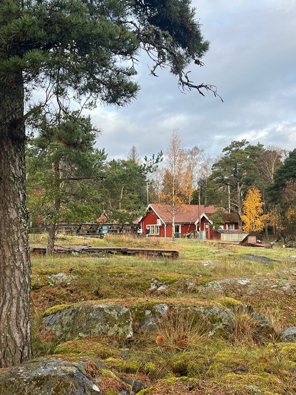 丨瑞典斯德哥尔摩丨Melina Ellvin,Oksana Pidleteichuk-9