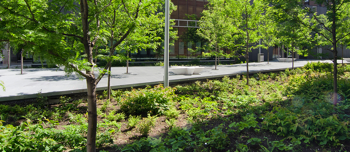 魁北克水文公园-11