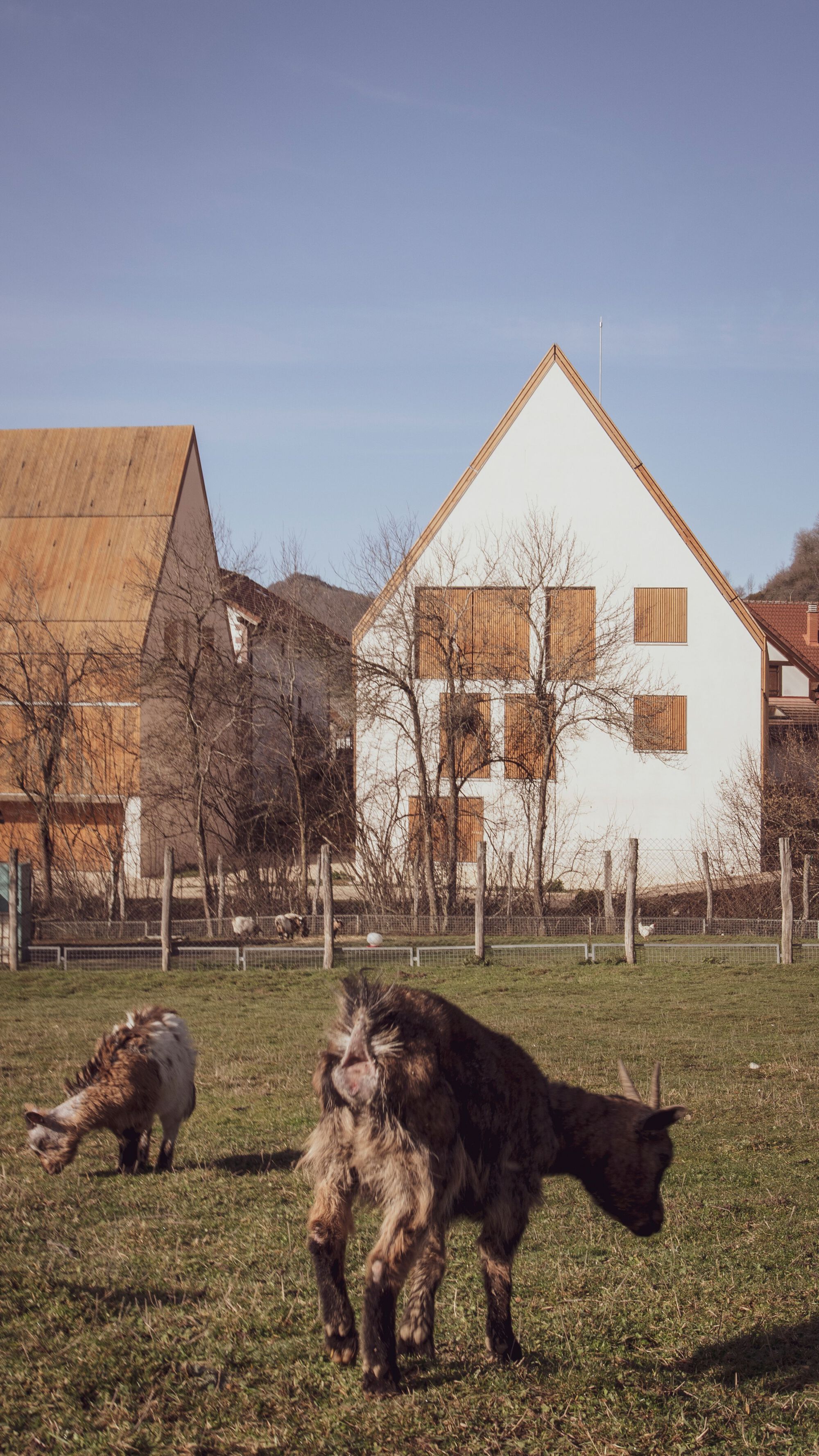 Garralda 住宅丨西班牙-16