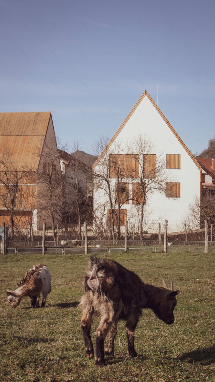 Garralda 住宅丨西班牙-16