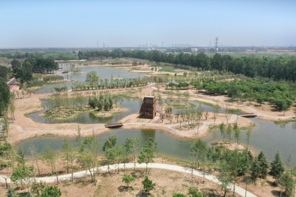 芦苇廊,观鸟屋等·邢襄生态园景观建筑系列丨中国河北丨北林风景建筑研究中心  段威工作室,上海领沃园林设计事务所  李工作室-107