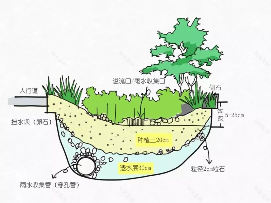 “海绵城市”建设 | 成都的绿色转型之路-30