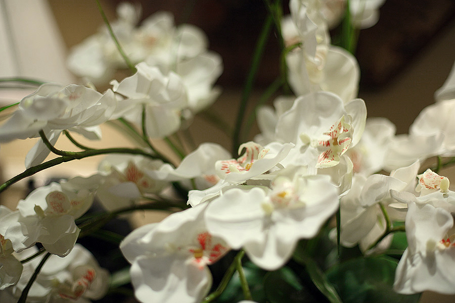 法式简约家装别墅样板房-3-26