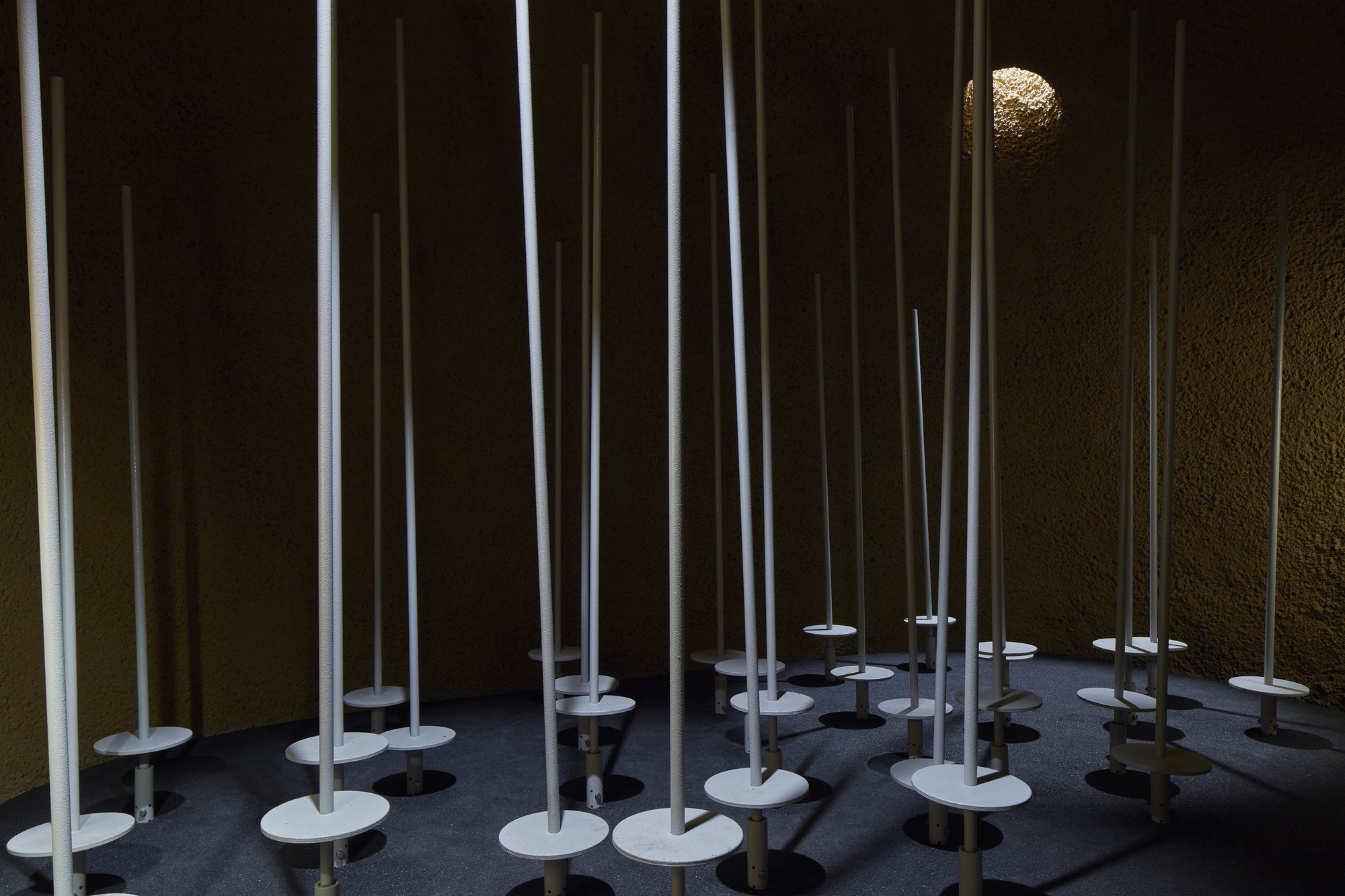 蒙特利尔昆虫馆丨加拿大蒙特利尔-35