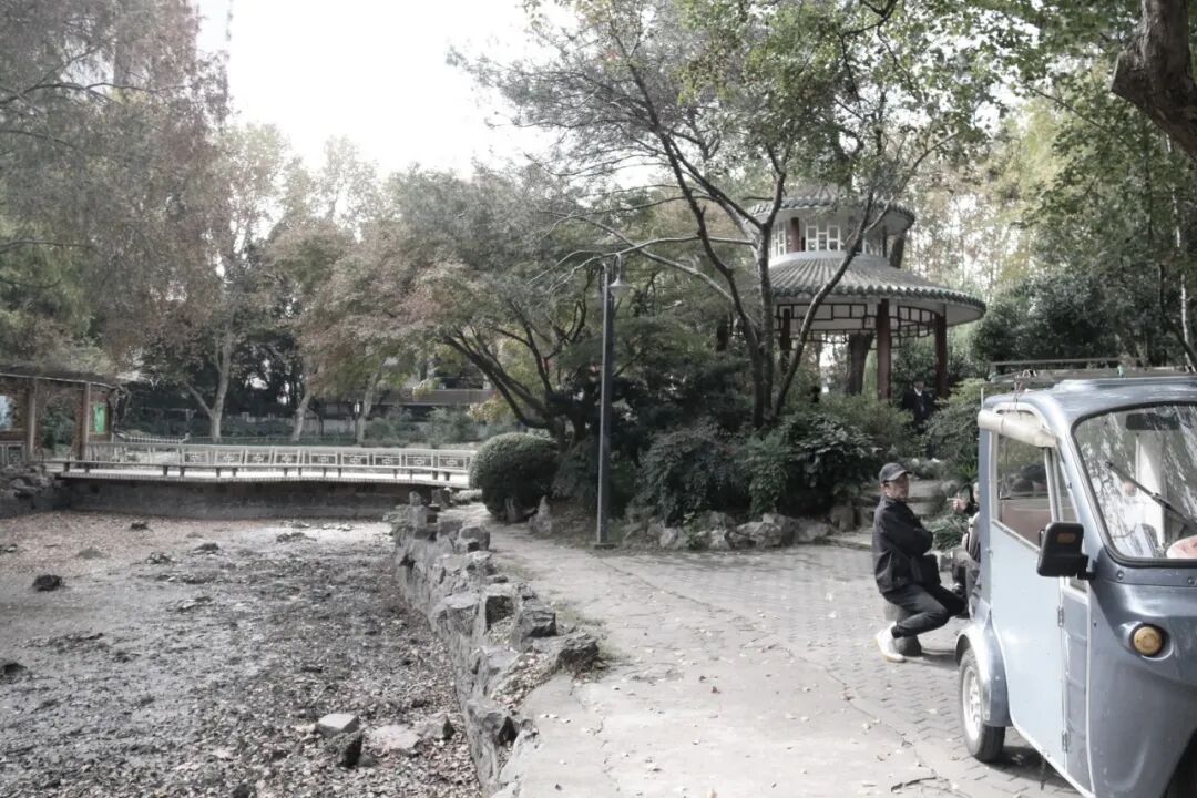 中国园林·理事专栏|“拓”之力量：杨浦公园改造纪实(三)-146
