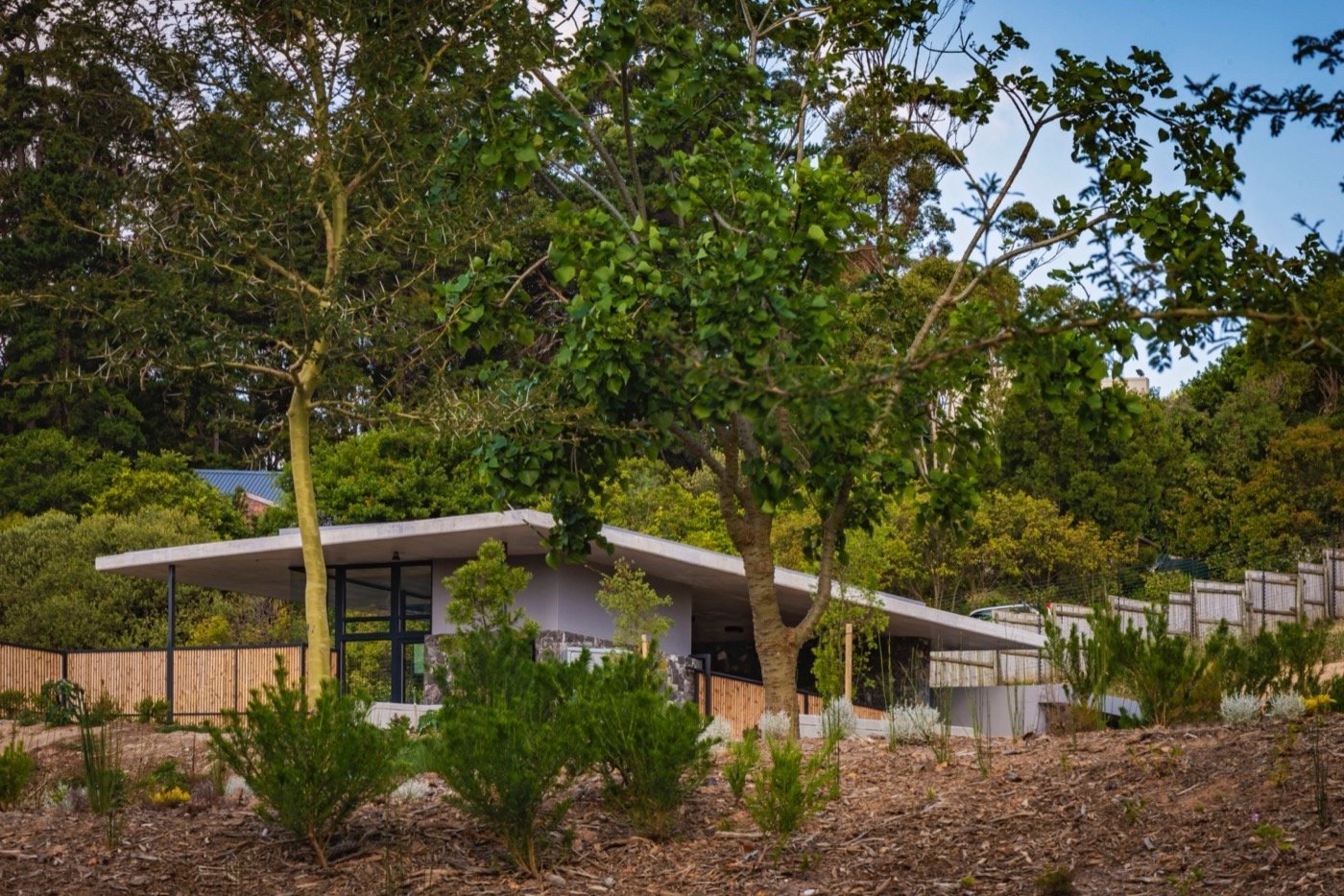 南非阿普尔加思庄园-22