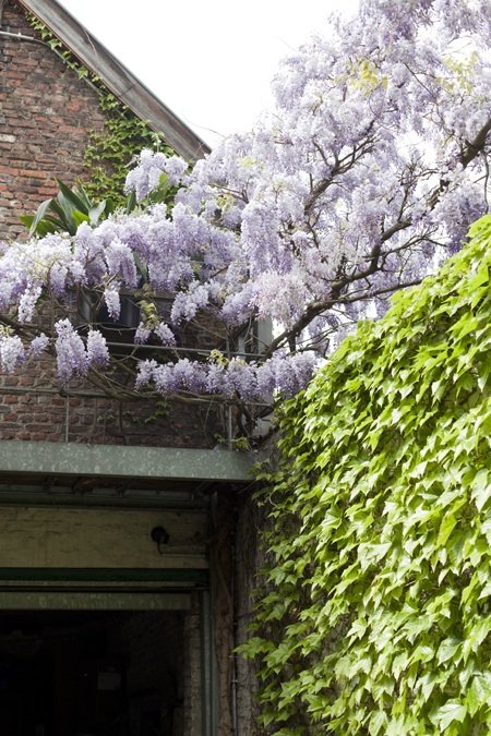 由阁楼改造成的玻璃屋式阁楼-19