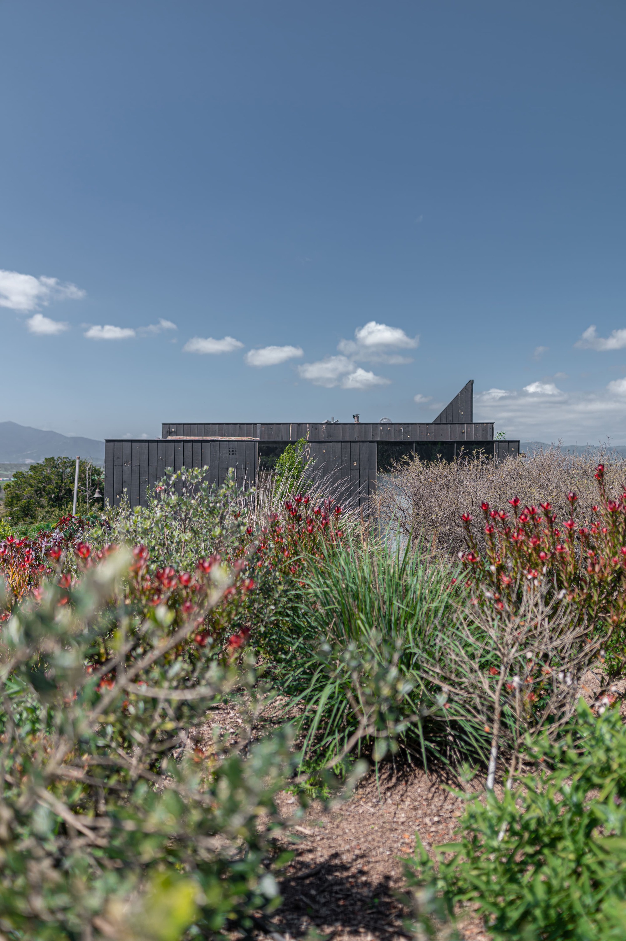 别墅丨智利丨COLECTIVO-20