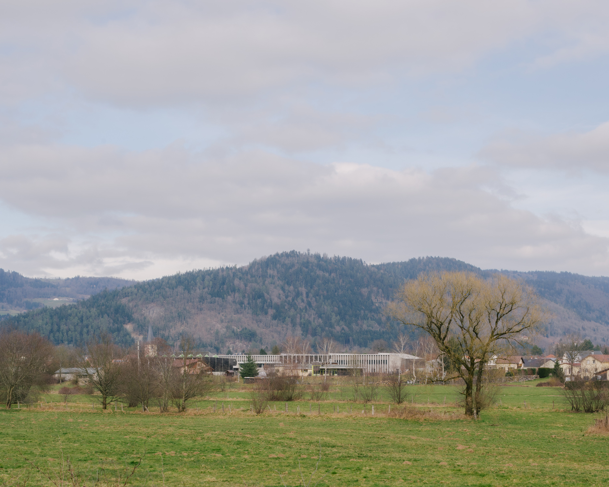 班德瓦涅学校丨法国-41