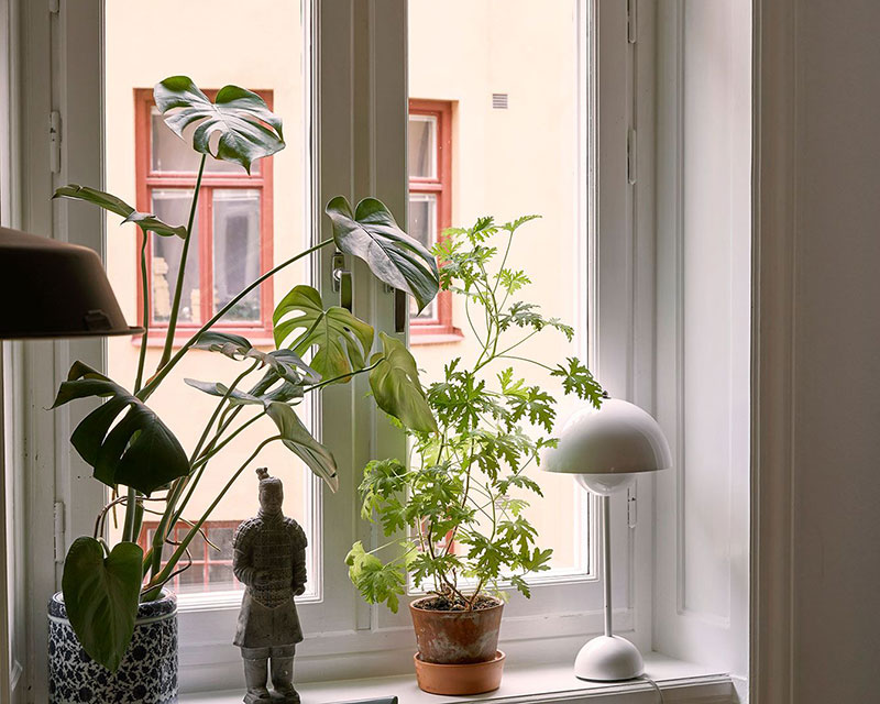 斯德哥尔摩黑白公寓，绿植细节打造舒适空间-8