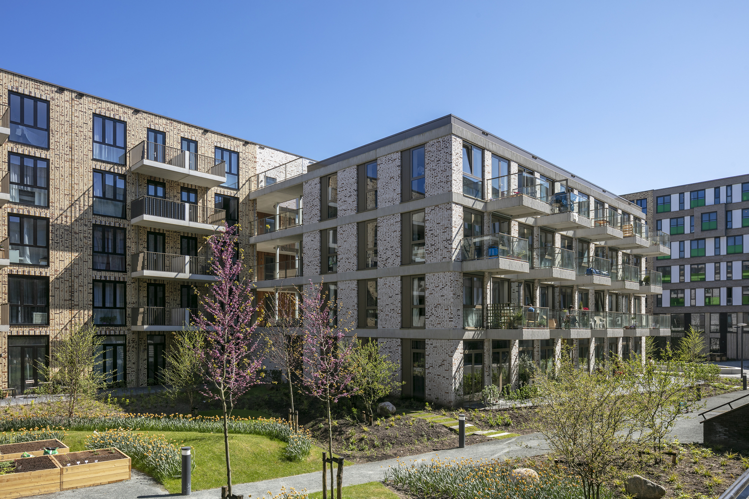 活力校园|Lieven Zuidblok 公寓丨Bureau B+B-7